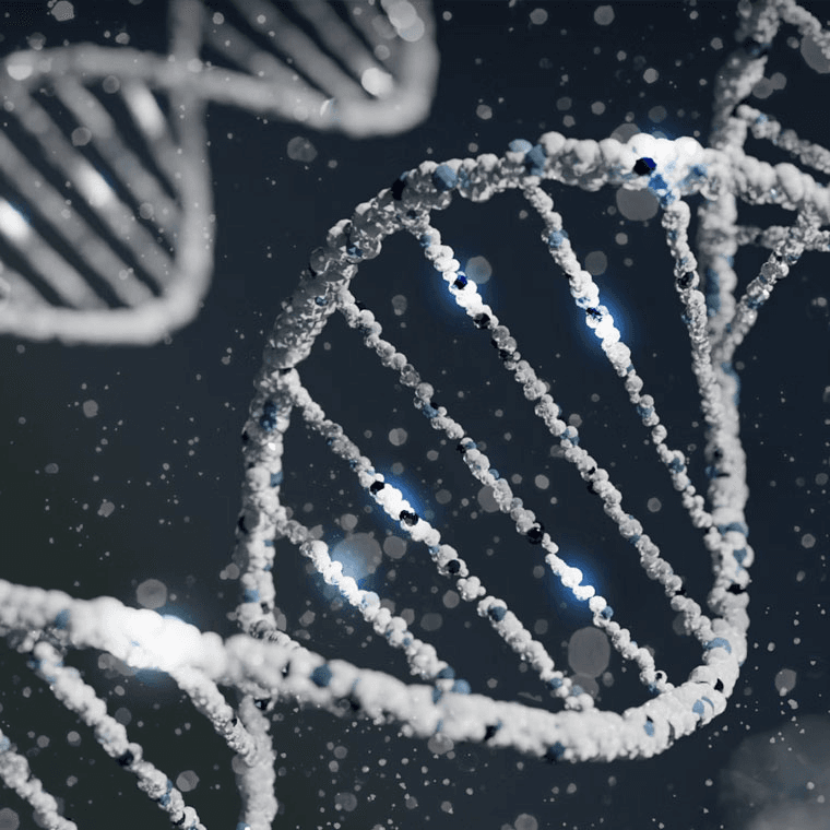 Metilación ADN (Diagnóstico Epigenético Preventivo)