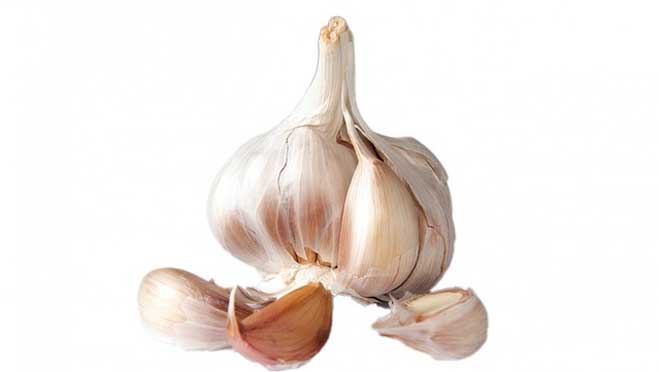Beneficios de comer ajo El ajo y sus efectos terapéuticos