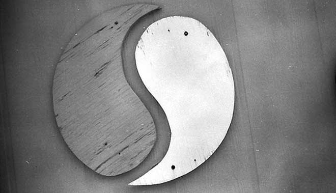 Medicina integrativa, yin y yang